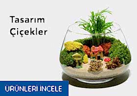 Öneçıkan Ürün